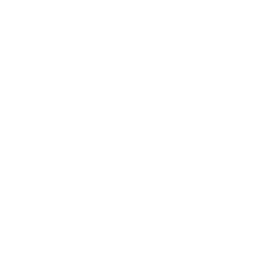 dosti-bbq